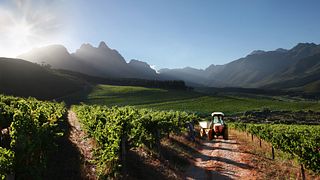 Discover the hidden gems of the Wine Country
