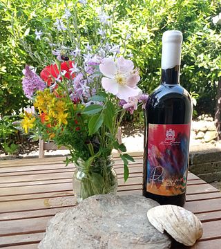 Maxi Wine Tour på Azienda San Quirico