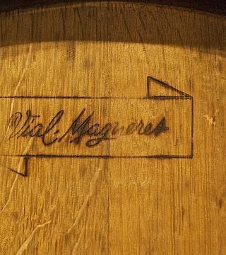 Tour del vino e degustazione al Domaine Vial Magneres