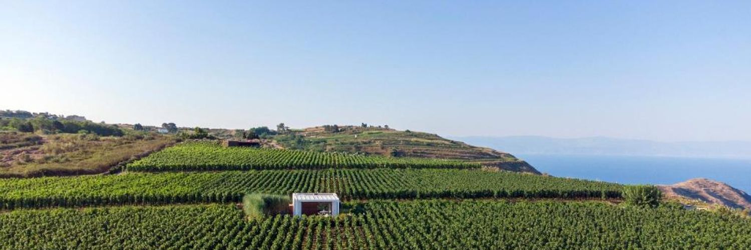 Tenuta Di Castellaro Villa