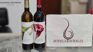 Murcia Wine Journey: Tasting & Vineyard Tour
