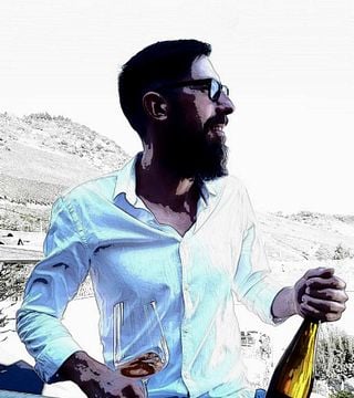 Degustazione di vini e tour presso Wein+Gut Oster