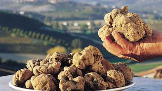 Tour in E-bike & wine e degustazione di vini