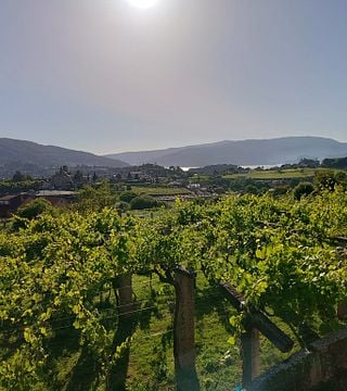 Vigo: Experiencia gastronómica y enológica en plena naturaleza