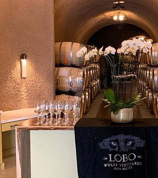Degustação de vinhos na Vinícola Lobo