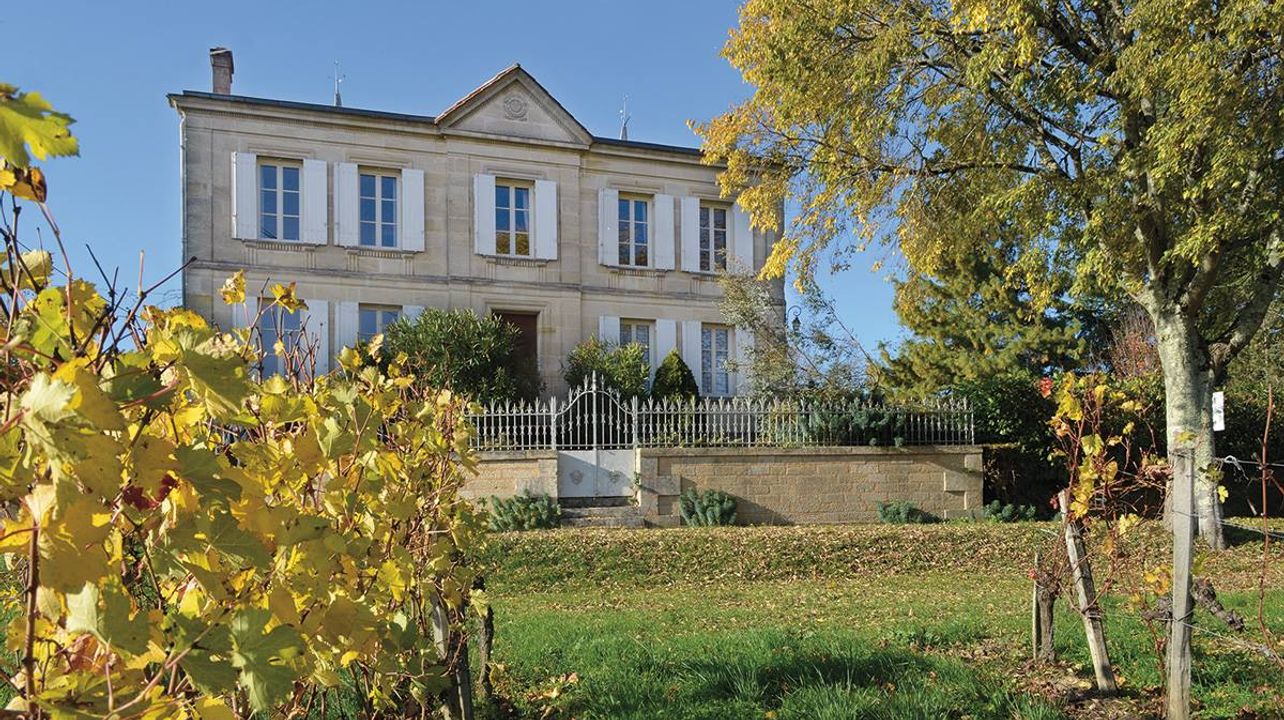 Degustação de vinhos e visita ao vinhedo do Château Haut Gaussens