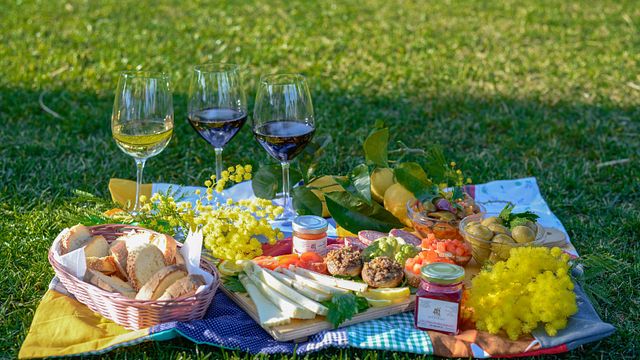 Pique-nique sur la pelouse | Visite et dégustation de vins à Augustali