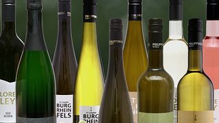 Degustazione di vini con pasto dei produttori di vino presso Weingut Philipps-Mühle