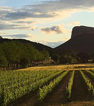 Degustação de vinhos e visita ao Castelo de Valflaunès
