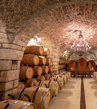 Recorre la Ruta del Vino – 2 bodegas en un día