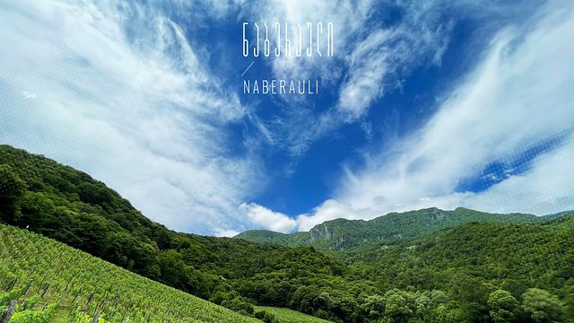Wine Tasting & Winery Tour at Naberauli Wines