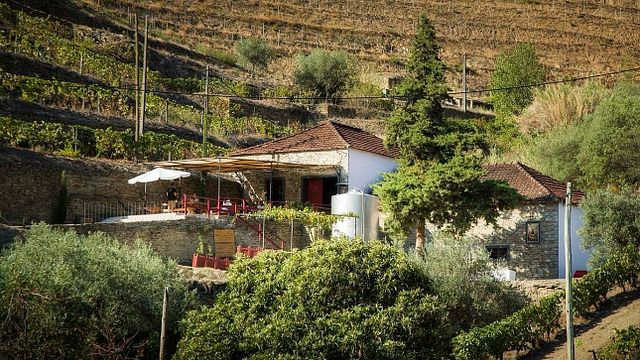 Sumérgete en nuestra Familia en Maçanita Vinhos