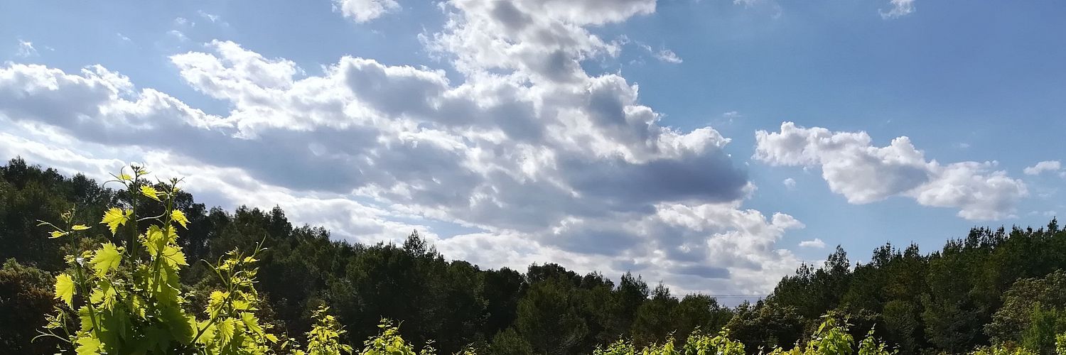 AprèsPassageDisques+Pagès