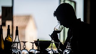 Taller de cata de vinos en el Château de Haute-Serre