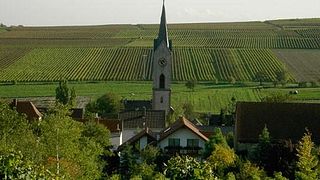 Cata de vinos y visita guiada en Weingut Jens Christmann