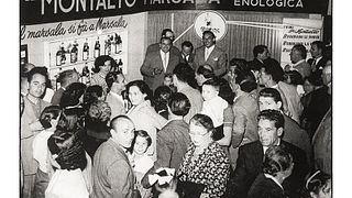 Cantine Montalto