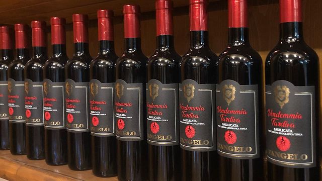 Degustação de vinhos populares e tour na Casa Vinicola D'Angelo
