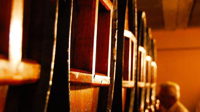 Degustação de vinhos e visita guiada na Celler Grau i Grau
