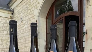 Degustazione di vini e tour al Domaine De La Chanteleuserie