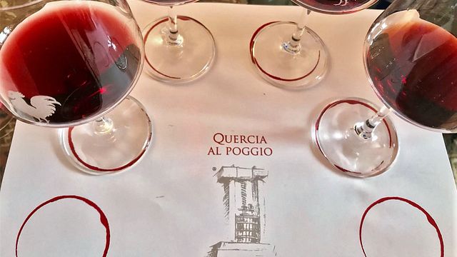 Dégustation de vins et visite de la cave Quercia Al Poggio