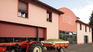 Degustação de vinhos e tour na Cantina Puianello