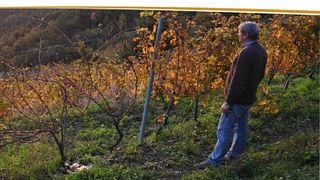 La Cantina Degli Abissi - Bisson Vini