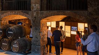 Wine Tasting at Burmester Wine Cellar