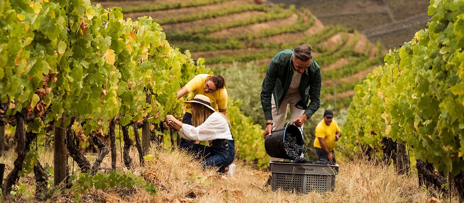 PWT VALLADOWINEFEST 16 Credit-Jose-Sarmento-Matos -144ox525 Article-banner
