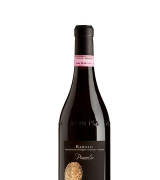 Wine Tasting and Tour at Nota Giuliano Winery