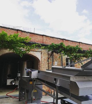 Degustação de vinhos e tour em Marchesi Alfieri