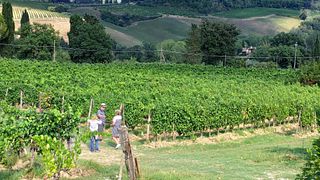 Tenuta Guardastelle