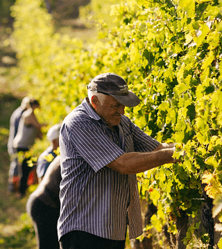 Dégustation de vins et visite chez Beppe Marino