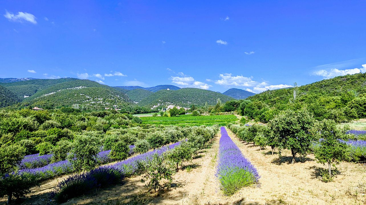 Domaine de la Bouvaude