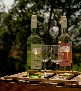 WeinZeit-Picknick de Engelhard