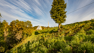 Vinos Mingaco
