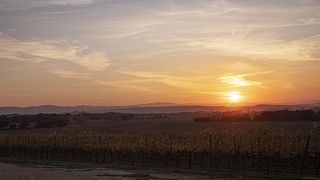 Besuch und Weinprobe Sunset Celler Mas Geli