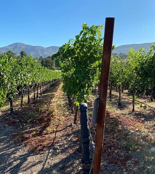 Dégustation de vins et visite chez Avinodos