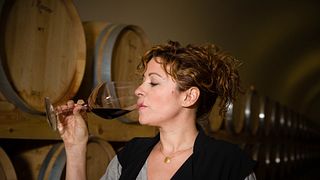 Dégustation de vins et visite des Bodegas Viña Mayor