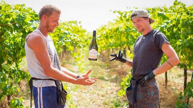 Degustazione di vini e tour presso l'azienda vinicola Happs Estate