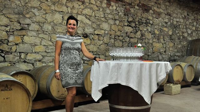 Degustação de vinhos e tour na Azienda Agricola Coffele Alberto