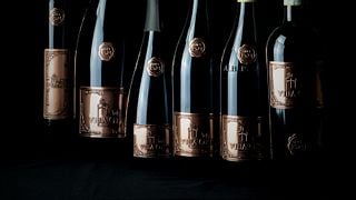 Emilia-Romagna Castle Wine & Pairing Journey