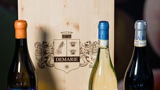 5 Etichette alla Cantina Demarie