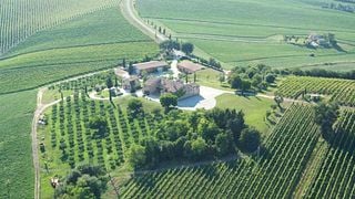 Degustação de vinhos e tour em La Prova