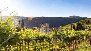 Dégustation de vins au Domaine Le Passelys