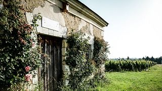 Degustazione di vini e tour a Les Caves De La Loire