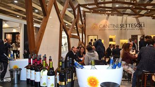 Degustação de vinhos e visita guiada à Cantine Settesoli