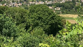 Sancerre Enthusiast Tour