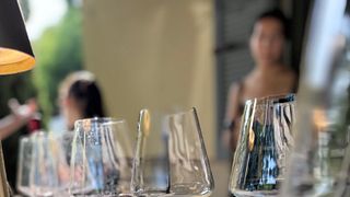 Ariella Kristianson your Sommelier  in Piemonte