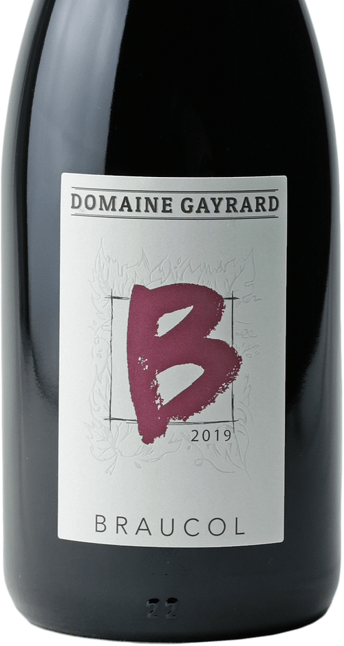 Braucol - Domaine Gayrard