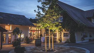 Schilcherei | Weingut Jöbstl